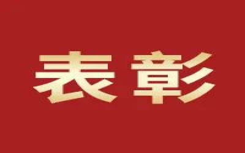 奮進(jìn)2023，這些集體和個(gè)人無上“榮”光